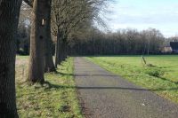 BRABANT06.jpg